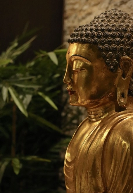 СПА-центр Тайский  Sabai  в Красной Поляне: Обертывание, Лимфодренаж, Красота, Spa,