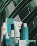 Миниатюра 7