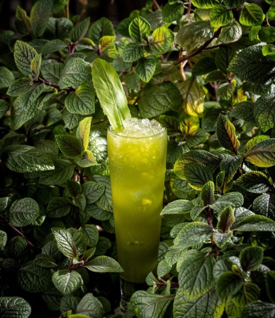 ​Ресторан "Red fox ".