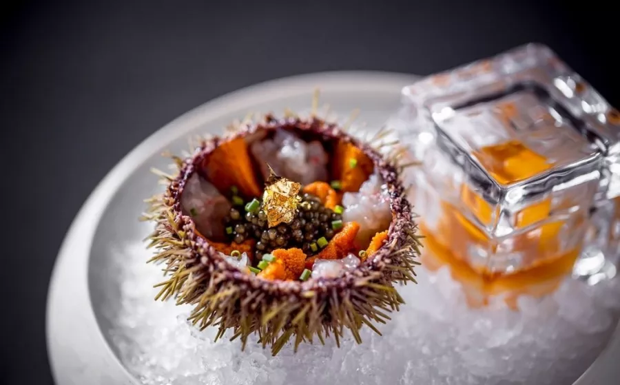 Ресторан Brunello в Красной Поляне: Винный ресторан, Авторская кухня, Винная карта, Заказ столиков, Японская кухня,