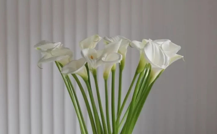 Цветочный магазин "German Garden"