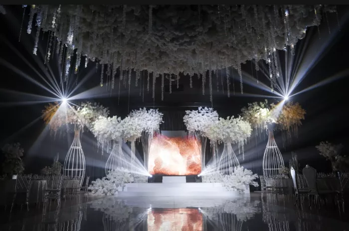 Компания по организации праздников "Sapg"