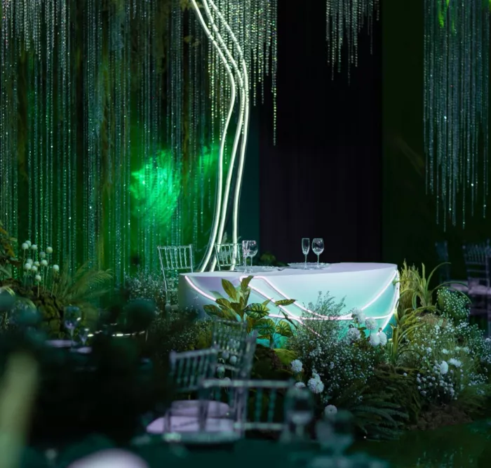 Компания по организации праздников "Sapg"