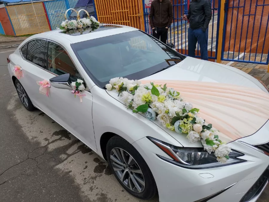 Свадебный салон Ангел в Краснодаре: Свадебный салон , Бракосочетание , Невеста, Свадебное платье , Аксессуары , Декор на машину, Свадебный декор , Для влюбленных,