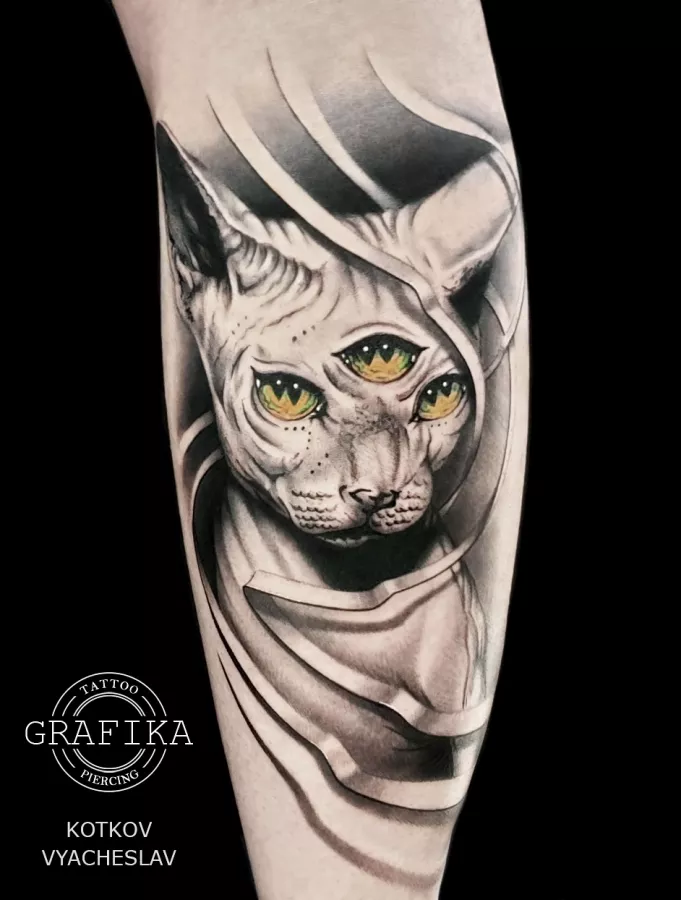 Татуировки и пирсинг TATTOO GRAFIKA в Нижнем Новгороде: Тату, Пирсинг, Перманент, Нательная Живопись,