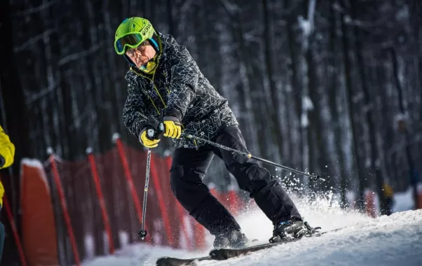 ​Компания "Горностайski".