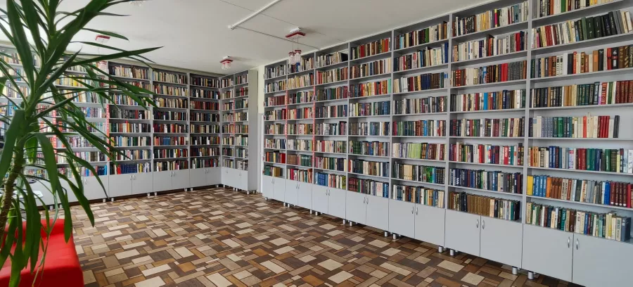 Библиотека им. Н.В. Гоголя в Краснодаре: Библиотека, Книги, Образование , Учёба, Книжный червь, Учебник, Энциклопедия , Страницы,
