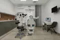 Миниатюра 9