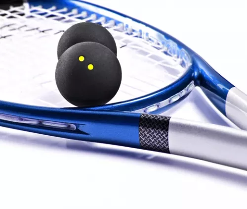 Спортивный Клуб SQUASHFAN  в  Минске