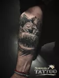 Миниатюра 5