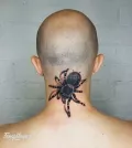 Миниатюра 2