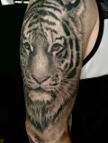 Миниатюра 6