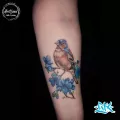 Миниатюра 5