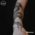 Миниатюра 7