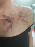 Миниатюра 7
