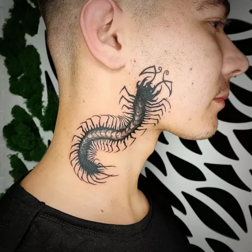 Тату-салон Rock-n-Roll Tattoo  в  Ростове-на-Дону