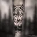 Миниатюра 3