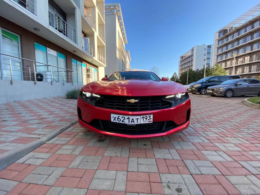 Аренда авто на свадьбу в Сочи в Сочи: Автолюбителям, Прокат , Для влюбленных, Водитель , Бизнес класс , Аренда,