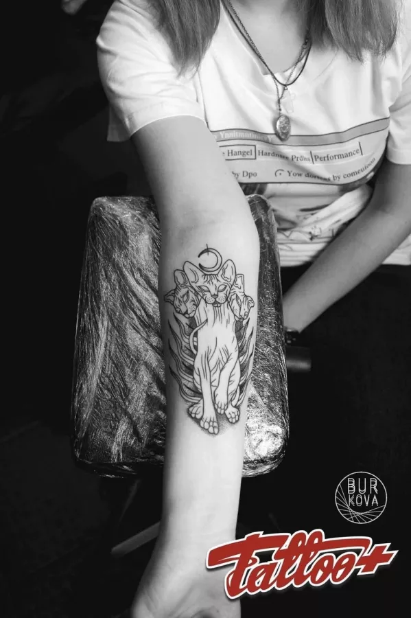 Студия татуировки и пирсинга Tattoo+ в Владивостоке: Красота, Тату, Пирсинг, Татуировка,