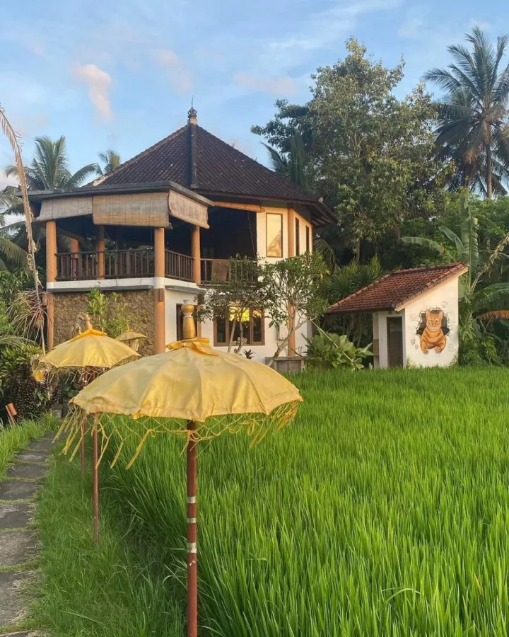 Студия Йоги Ubud Yoga House в Бали: Йога, Медитация , Растяжка , Джунгли, Jungles, Yoga, Meditation , Stretching ,