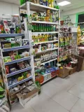 Миниатюра 8