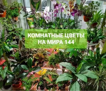 Магазин "Цветочная Поляна"