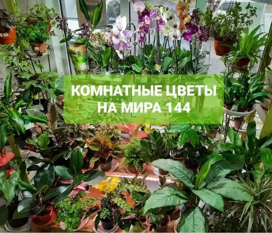 Магазин Цветочная Поляна в Ставрополе: Садовникам, Сад, Дом, Огород, Цветы, Природа, Урожай, Растения,