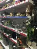 Миниатюра 7
