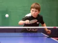 Миниатюра 6