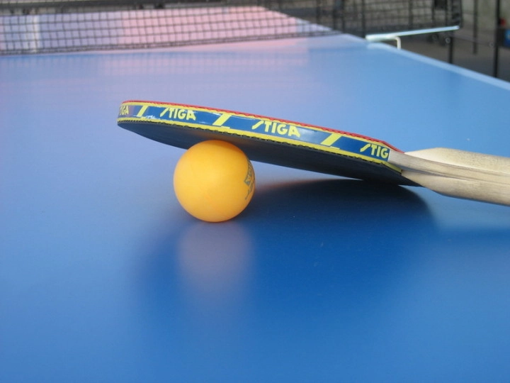 Клуб настольного тенниса Ping Pong Land в Ереване: Коллективные Игры, Физическое Развитие, Турниры, Пинг-Понг, Настольный Теннис, Спортивная Секция,