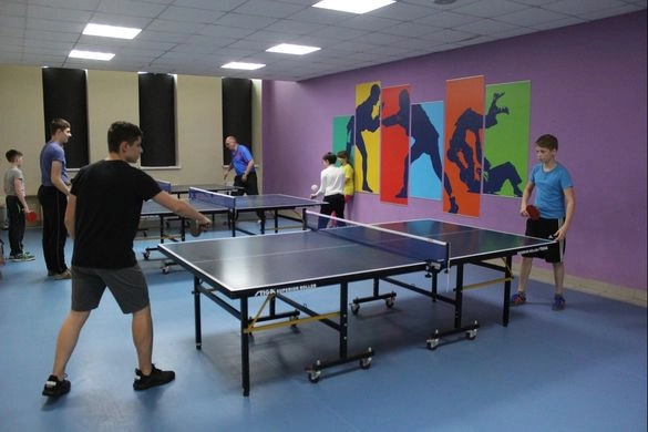 Клуб настольного тенниса Ping Pong Land в Ереване: Коллективные Игры, Физическое Развитие, Турниры, Пинг-Понг, Настольный Теннис, Спортивная Секция,