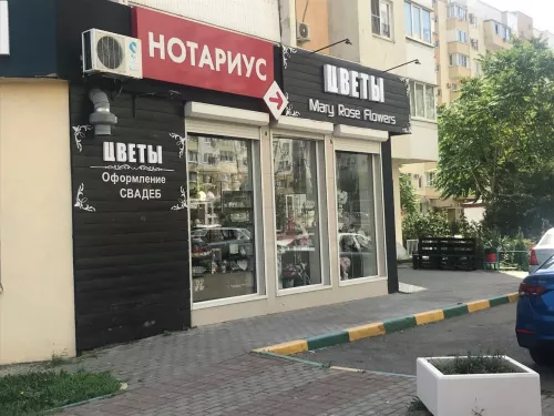 Нотариус Кунейко в Новороссийске  в  Новороссийске