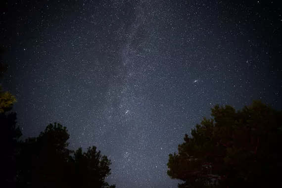 Фотограф и видеограф "LIVEEMOTION"