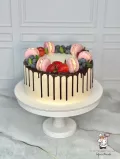 Миниатюра 7