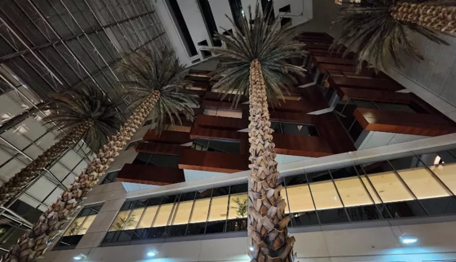 Частная больница American Hospital Dubai в Дубаи: Врач, Медицина , Больница, Частная больница, ОАЭ 🇦🇪 , Пациент , Следить за здоровьем,