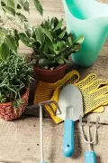 Миниатюра 7