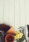 Миниатюра 10