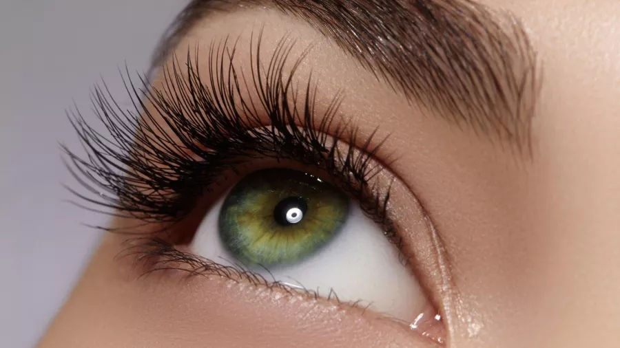 Салон красоты Just One Ladies Beauty Salon в Дубаи: Волосы, Я красивая, Hair, Nail, Body, Ресницы, Брови, Стрижка, Уход,