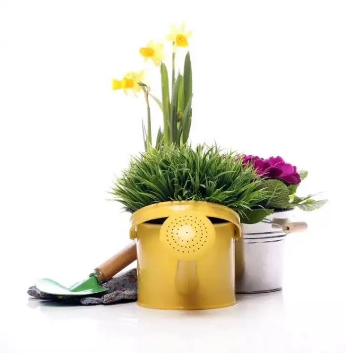 Магазин "Дачница"