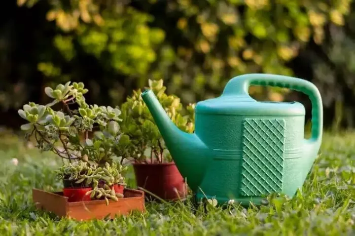 Магазин "Дачница"