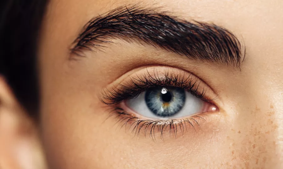 Салон красоты Joynista Beauty Salon в Дубаи: Волосы, Я красивая, Hair, Маникюр, Nail, Уход, Стрижка,