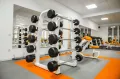 Миниатюра 7