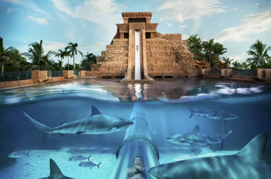 Аквапарк Aquaventure Waterpark в Дубаи: Аквапарк , Водные горки, Бассейн, Для детей, Возле воды, Развлечения ,