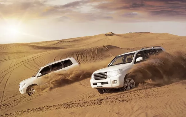 Сафари "Desert Safari"