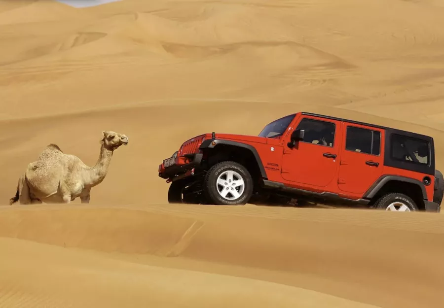 Сафари Desert Safari в Дубаи: Дюны, Пустыня, Автопутешествие , Барханы, Чилим, Всей семьей,
