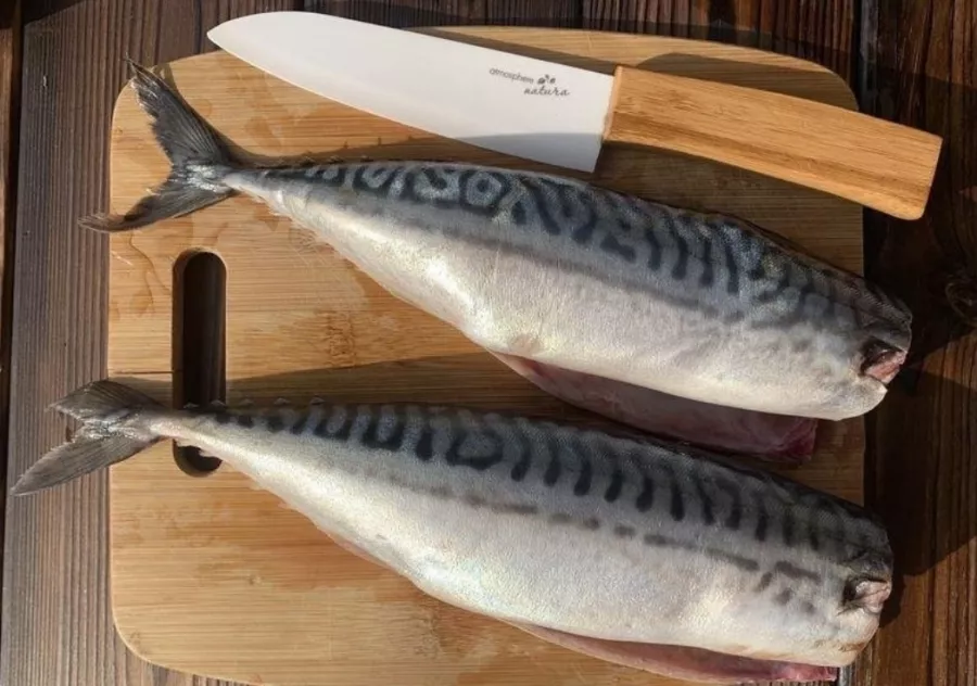 Магазин Морские деликатесы на Трудовой Славы в Краснодаре: Морепродукты, Азиатская кухня, Маслопродукты, Доставка, Икра, Специи, Рыба, Магазин,