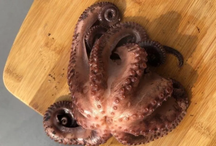 Магазин Морские деликатесы на Дорожной в Краснодаре: Морепродукты, Азиатская кухня, Маслопродукты, Доставка, Икра, Специи, Рыба,