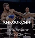 Миниатюра 8