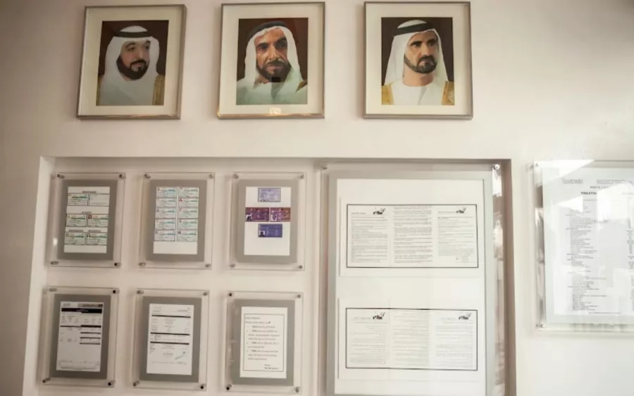 Стоматологическая клиника Standard Medical Clinic в Дубаи: Лечение Зуба, Зубы, Медицина, Стоматолог, Здоровье,