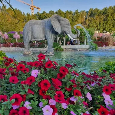 Парк "The Dubai Miracle Garden"
